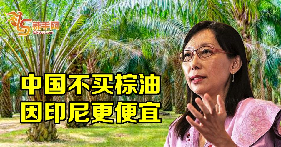 郭素沁：中国不买棕油  因印尼更便宜