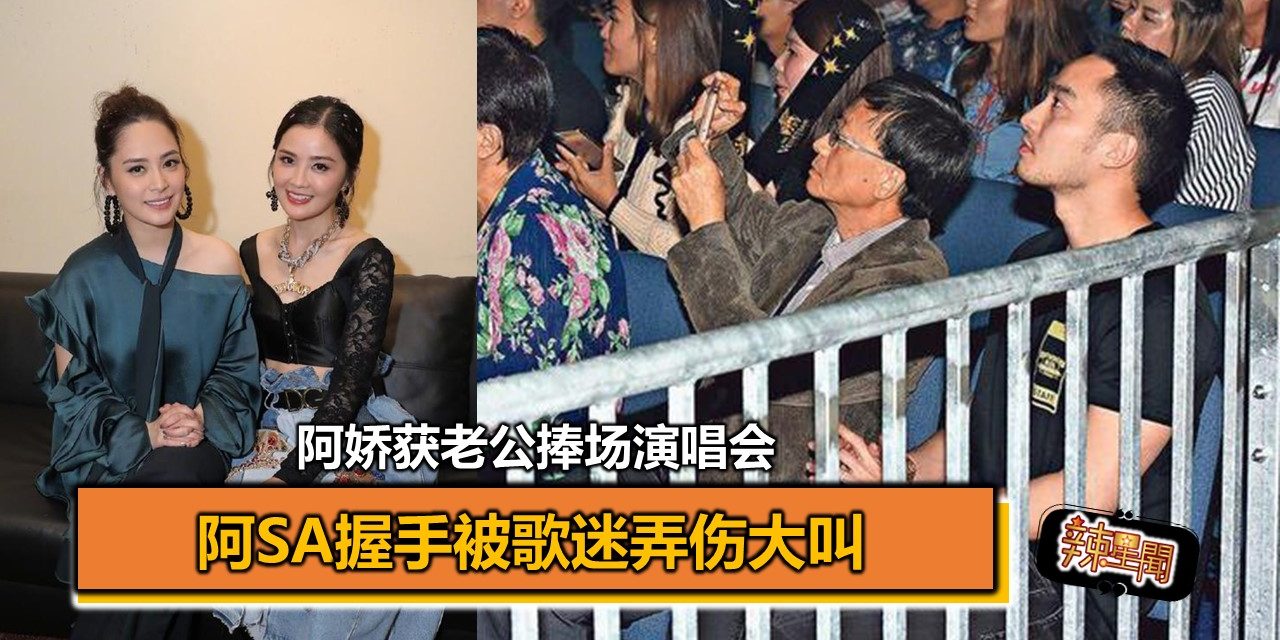 阿Sa握手被歌迷弄伤大叫 阿娇获老公捧场演唱会
