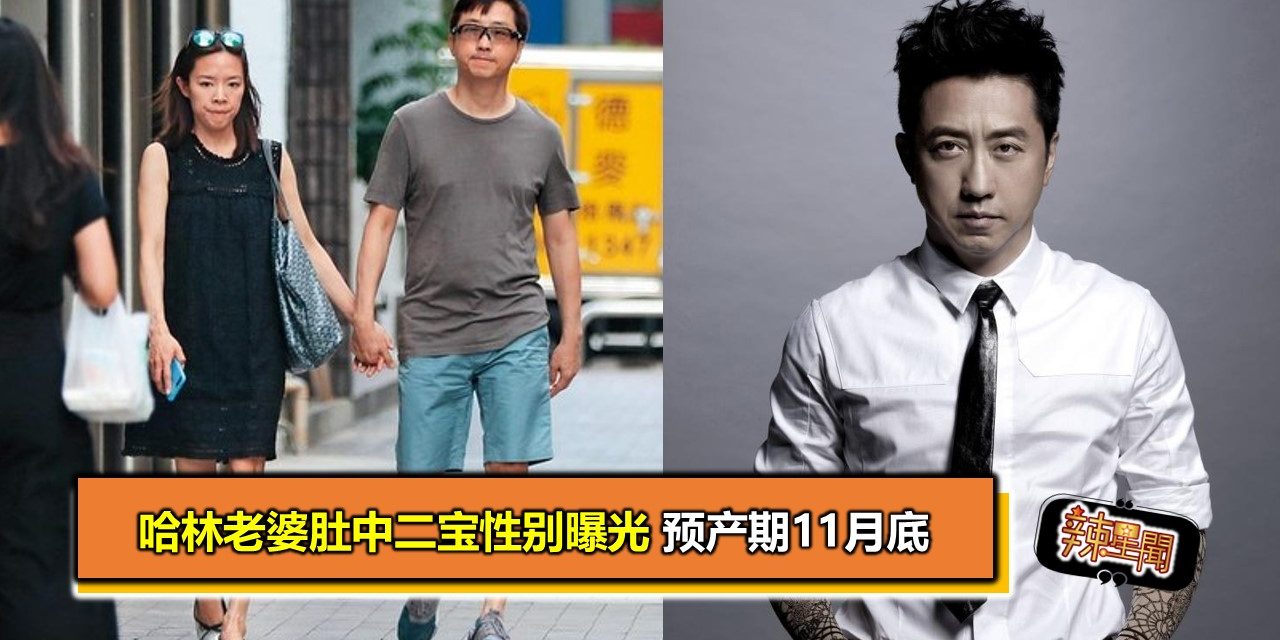 哈林老婆肚中二宝性别曝光 预产期11月底