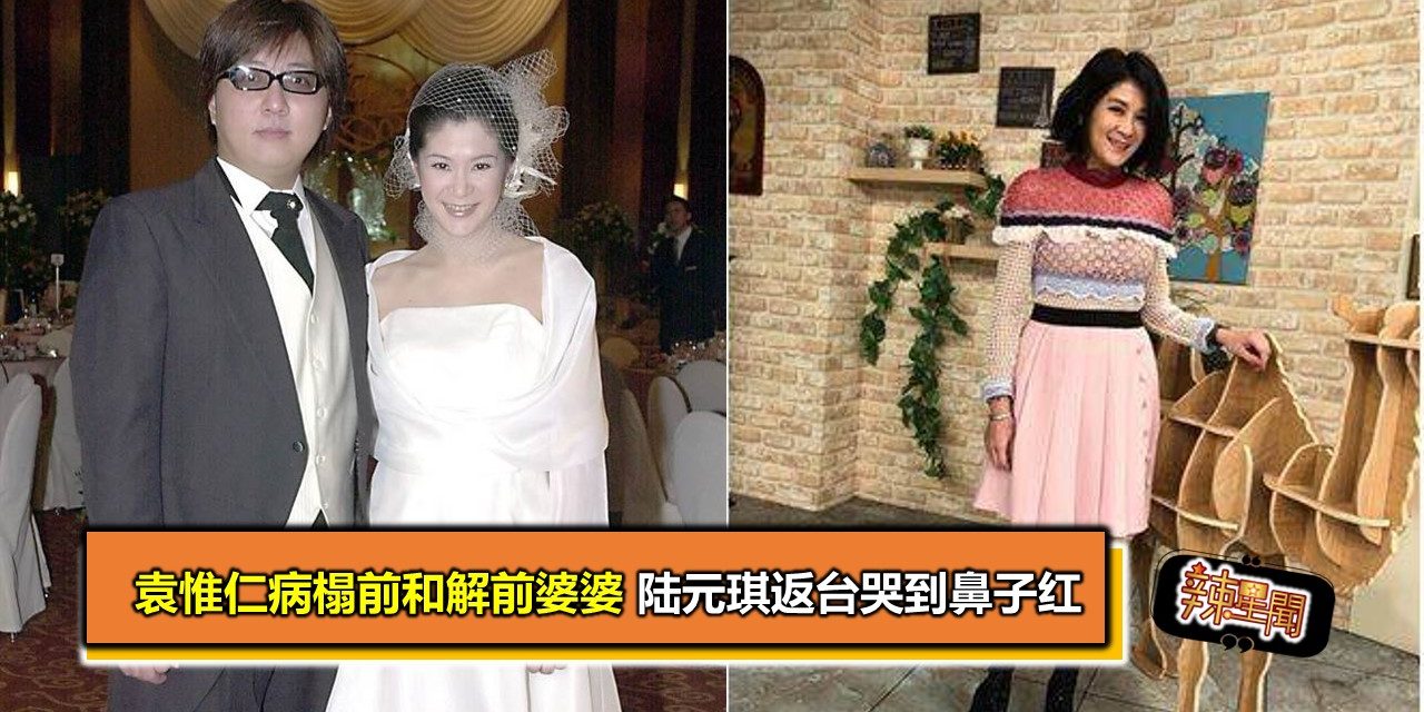 袁惟仁病榻前和解前婆婆 陆元琪返台哭到鼻子红