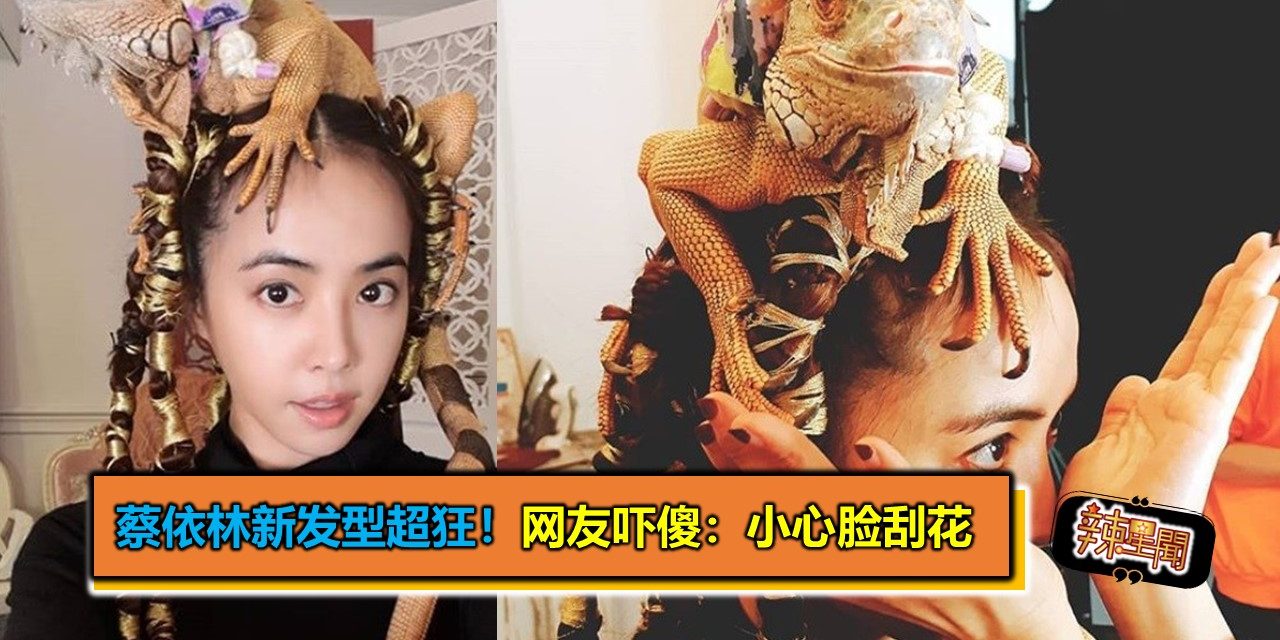 蔡依林新发型超狂！网友吓傻：小心脸刮花