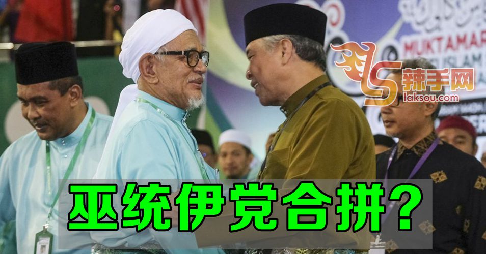 巫统伊党合拼了？