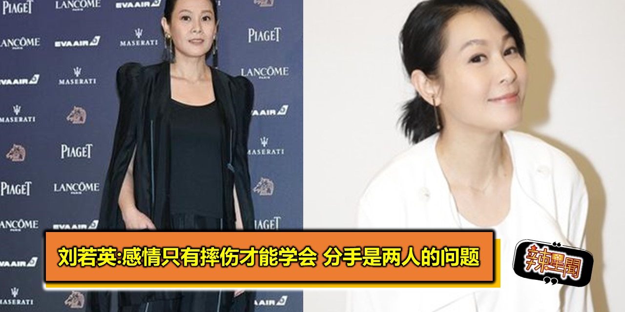 刘若英:感情只有摔伤才能学会 分手是两人的问题