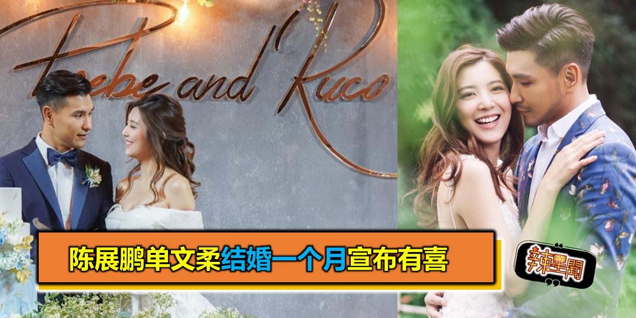 陈展鹏单文柔结婚一个月宣布有喜