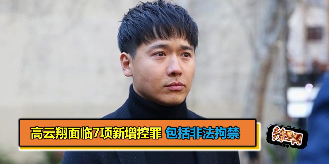 高云翔面临7项新增控罪 包括非法拘禁