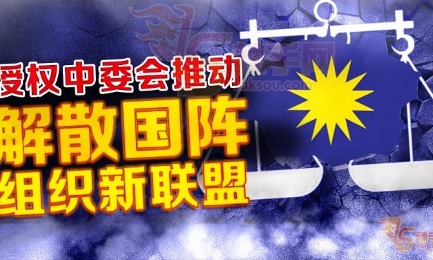 授权中委会  推动解散国阵