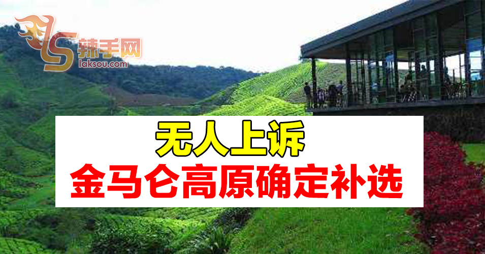 无人上诉  金马仑高原确定补选