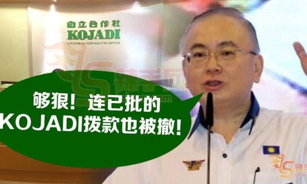 2018年财案批准的KOJADI拨款  希盟说不给就不给