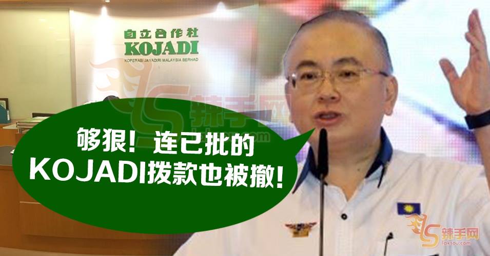 2018年财案批准的KOJADI拨款  希盟说不给就不给