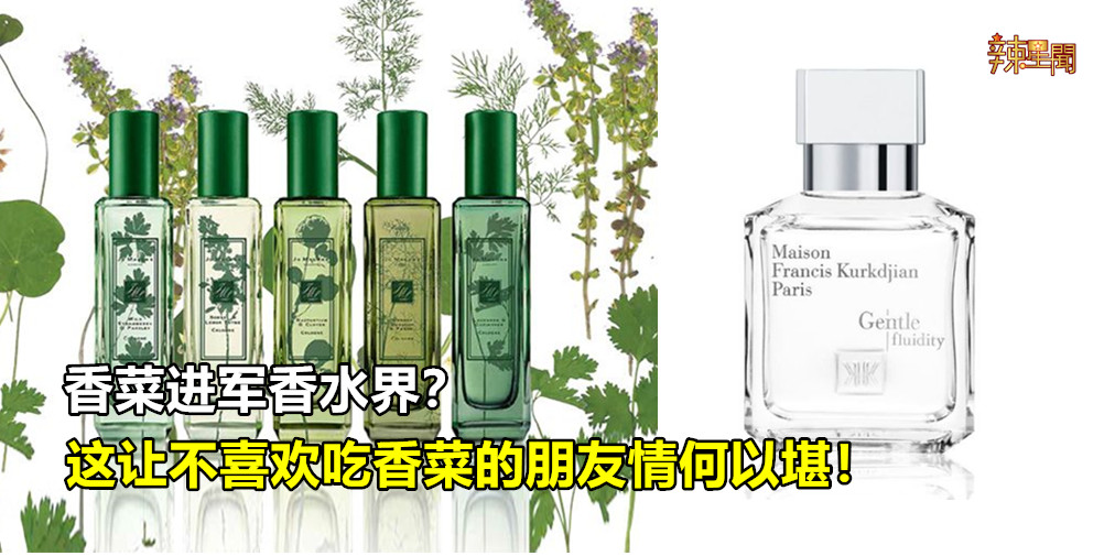 香菜进军香水界?你敢try吗?