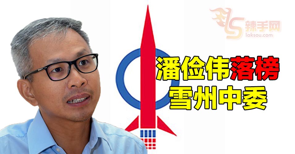 潘俭伟落榜雪州中委