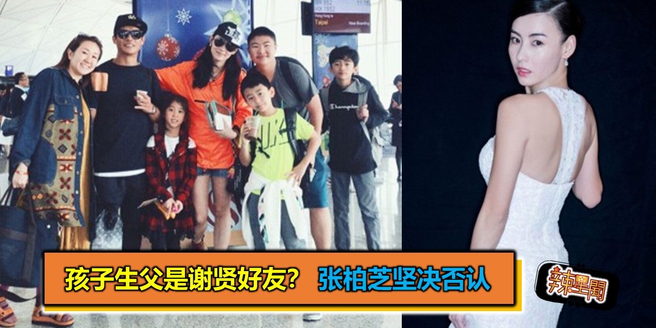 孩子生父是谢贤好友？ 张柏芝坚决否认