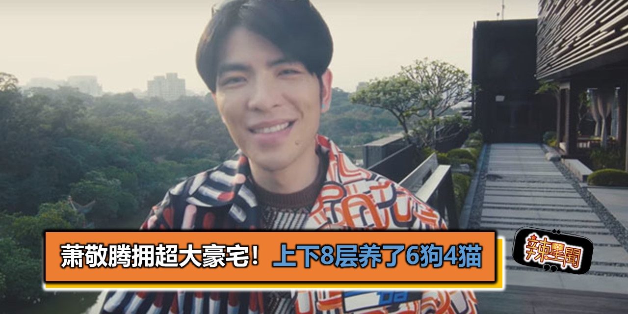 萧敬腾拥超大豪宅！上下8层养了6狗4猫