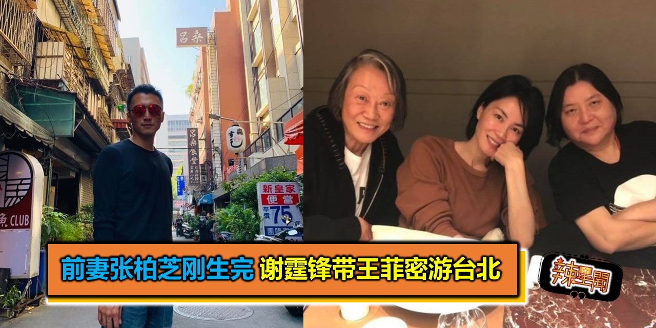 前妻张柏芝刚生完 谢霆锋带王菲密游台北