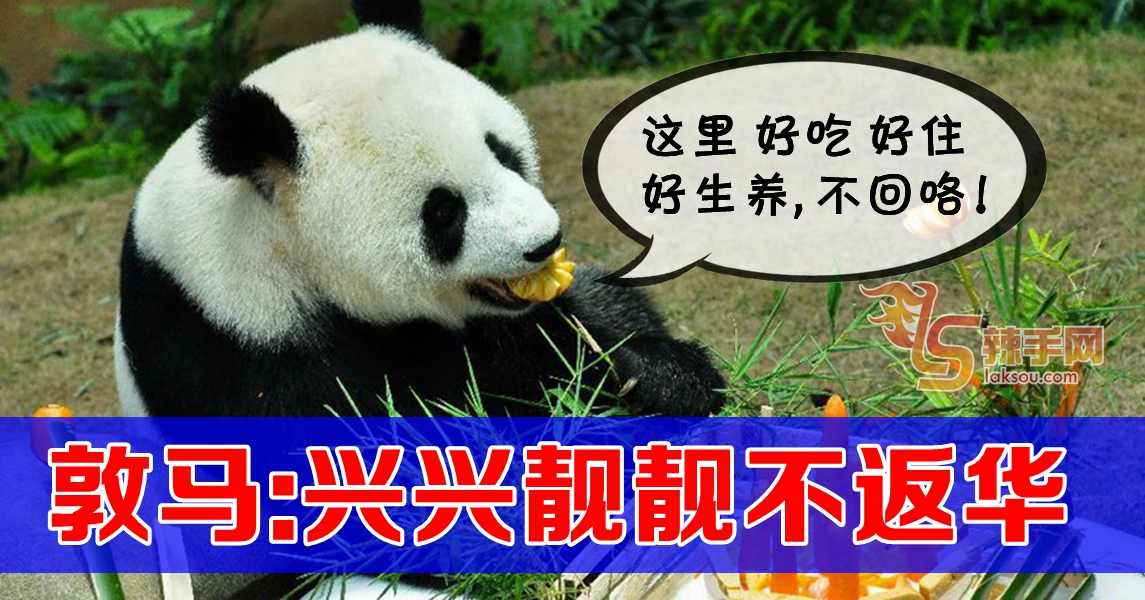 敦马：善待熊猫 不送回中国
