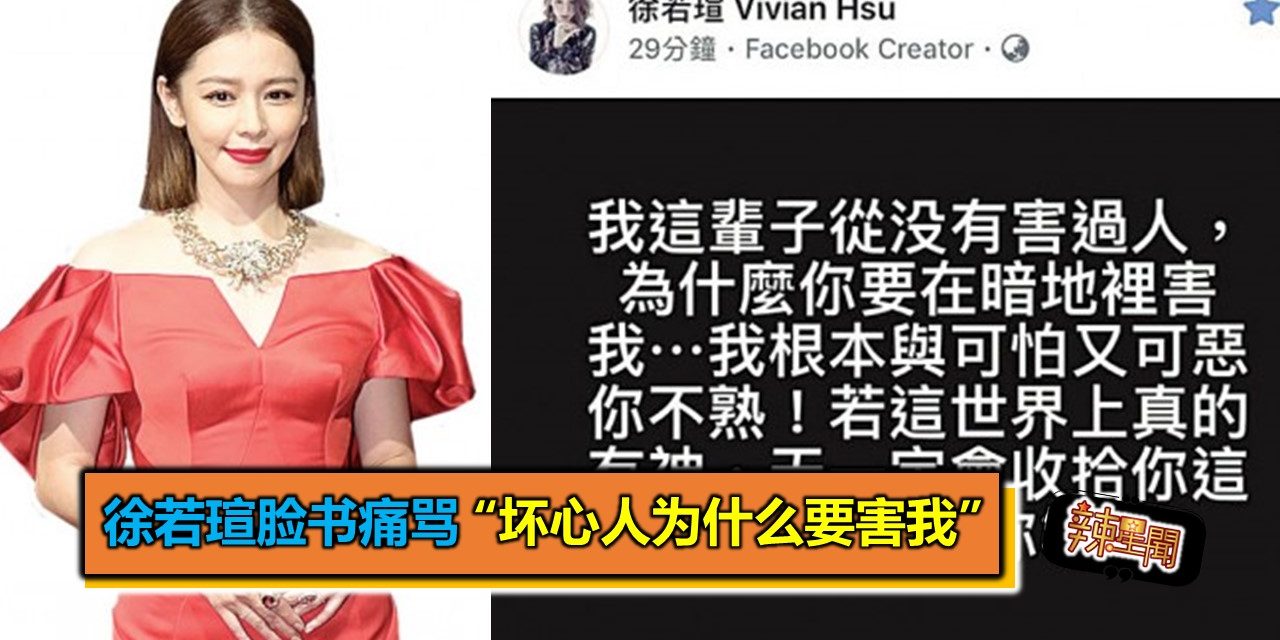 徐若瑄脸书痛骂 “坏心人为什么要害我”