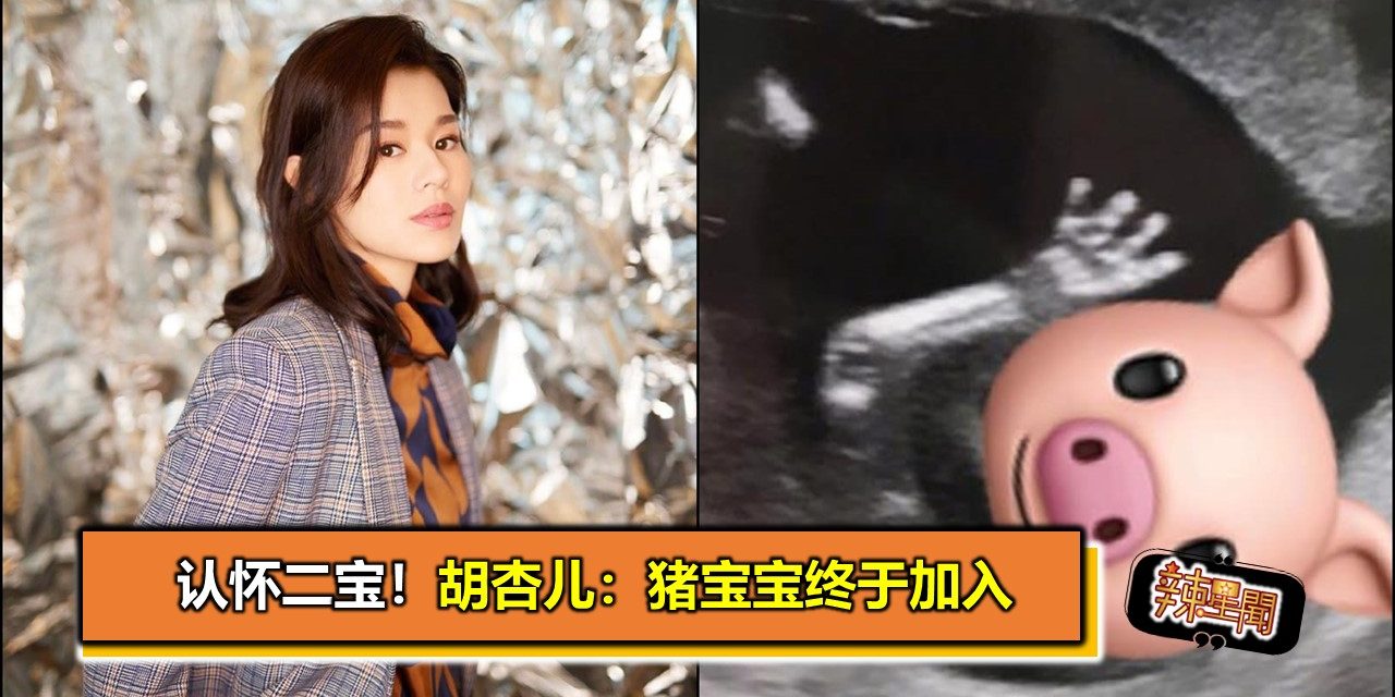 恭喜哦！认怀二宝！胡杏儿：猪宝宝终于加入