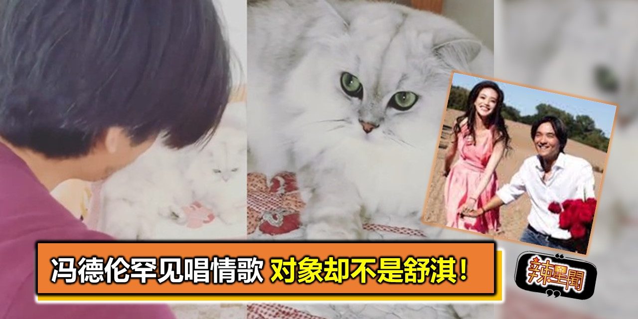 冯德伦罕见唱情歌　对象却不是舒淇！