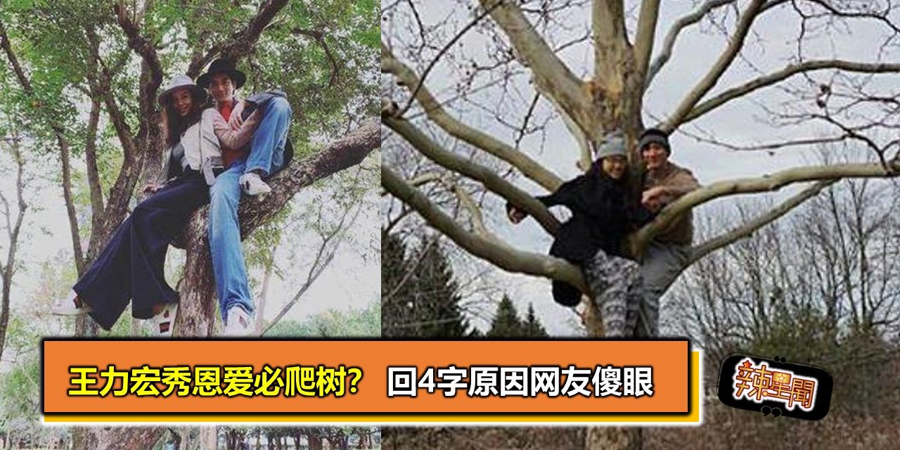 王力宏秀恩爱必爬树？ 回4字原因网友傻眼