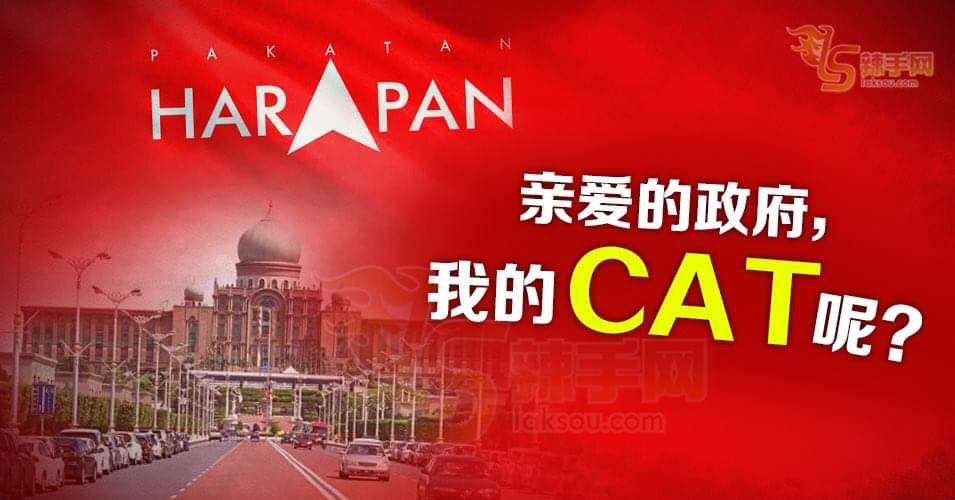 【八方论战】亲爱的政府，我的CAT呢？