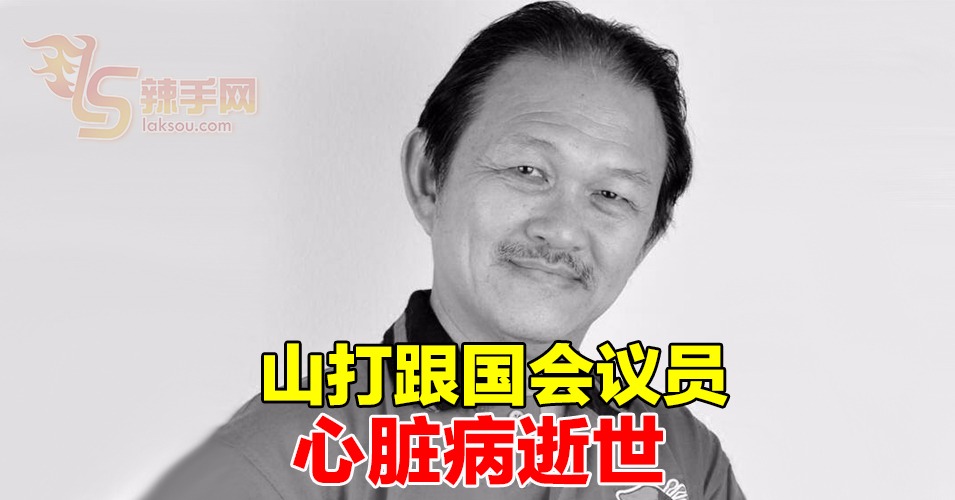 第8场补选来了!