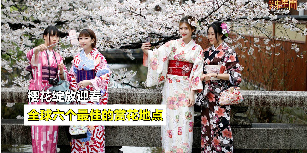 全球六个最佳的赏花地点