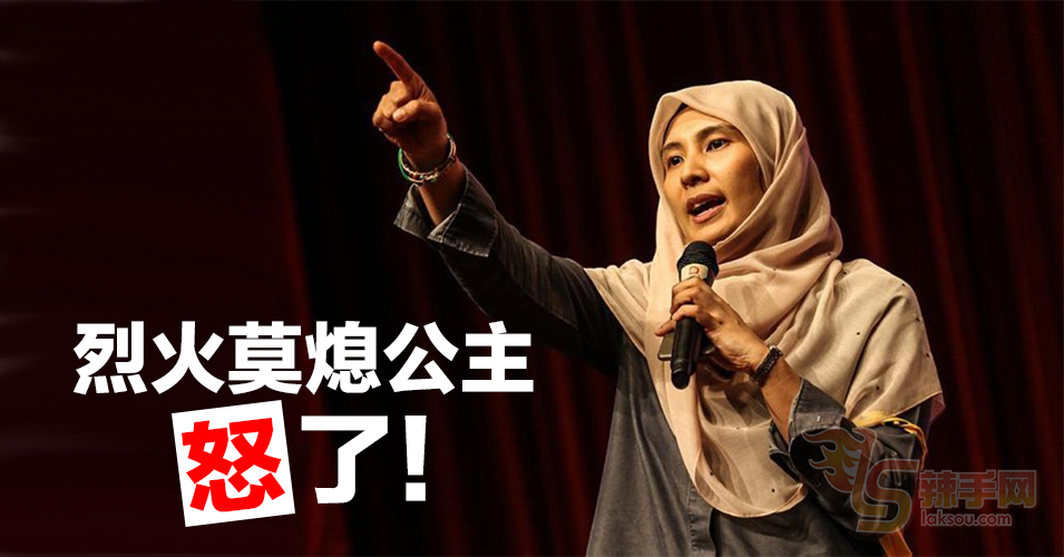 努鲁依莎辞公账户委员  担任最后一届议员