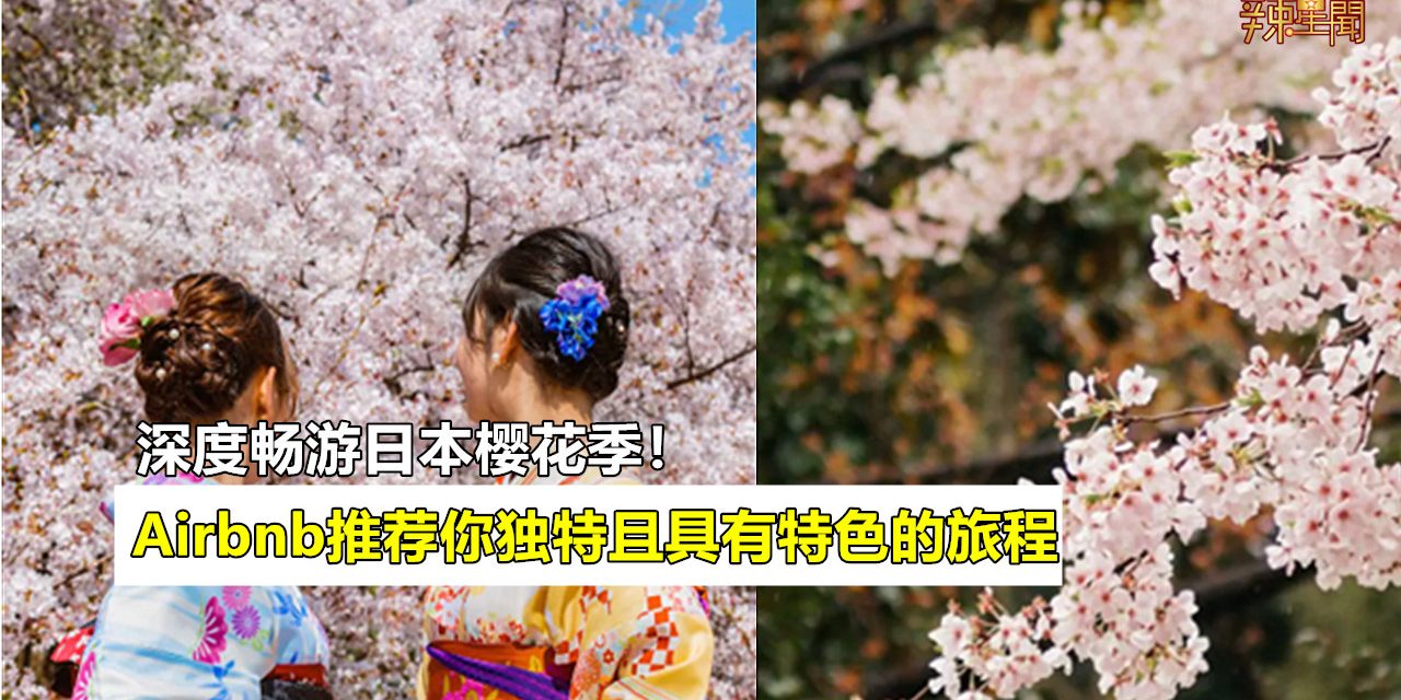 深度畅游日本樱花季！Airbnb推荐你独特且具有特色的旅程！