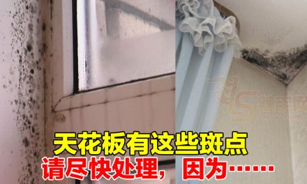 天花板霉菌会引发气管问题