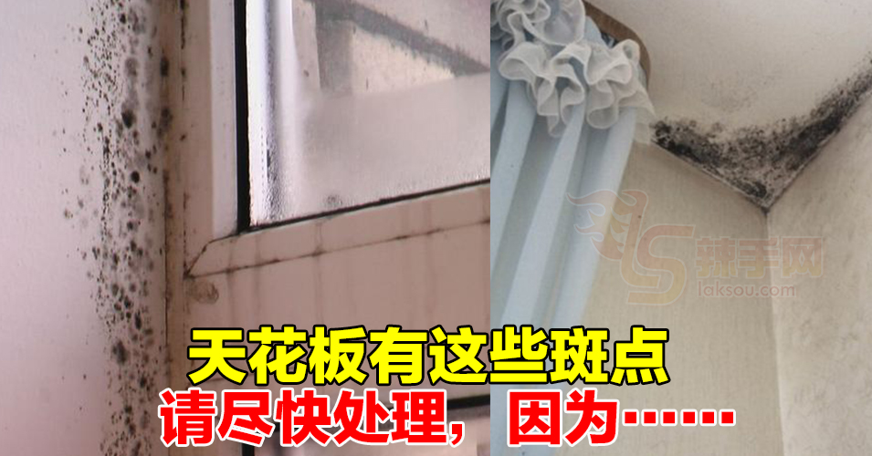 天花板霉菌会引发气管问题