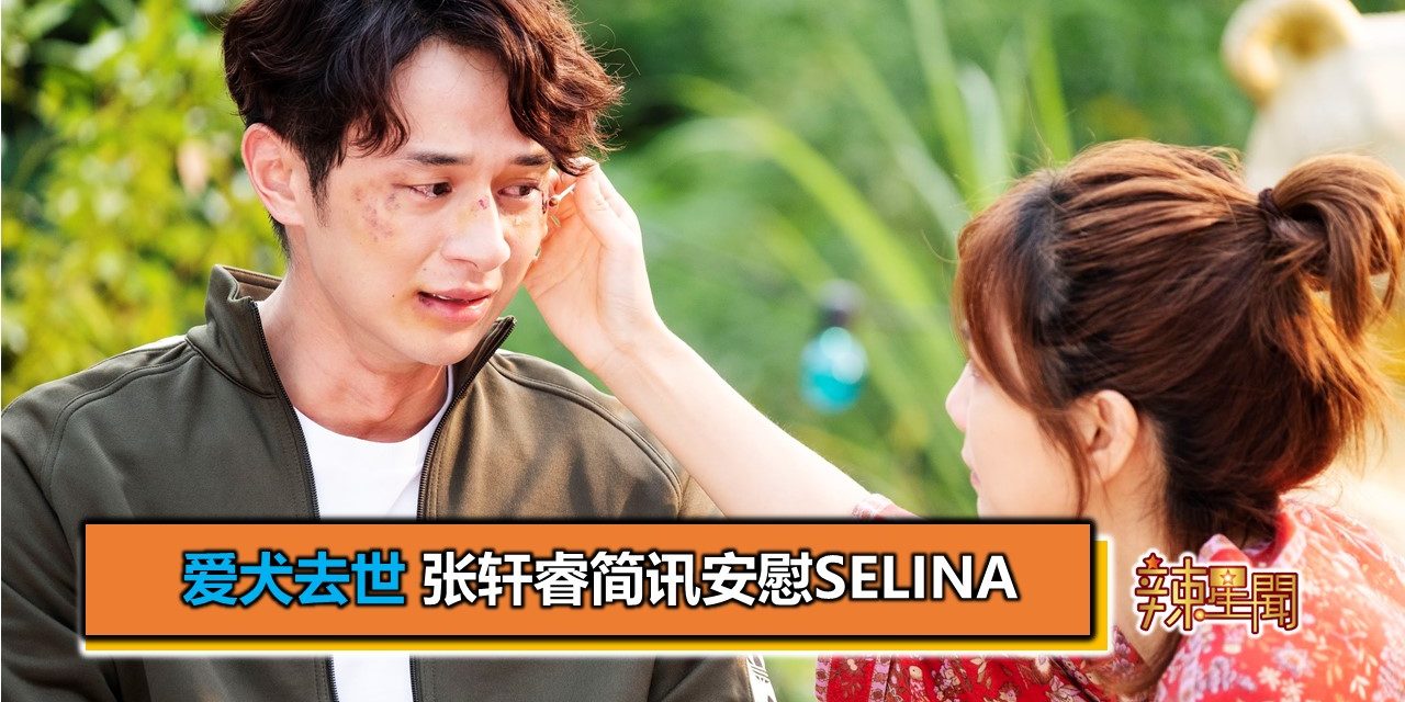 爱犬去世 张轩睿简讯安慰Selina
