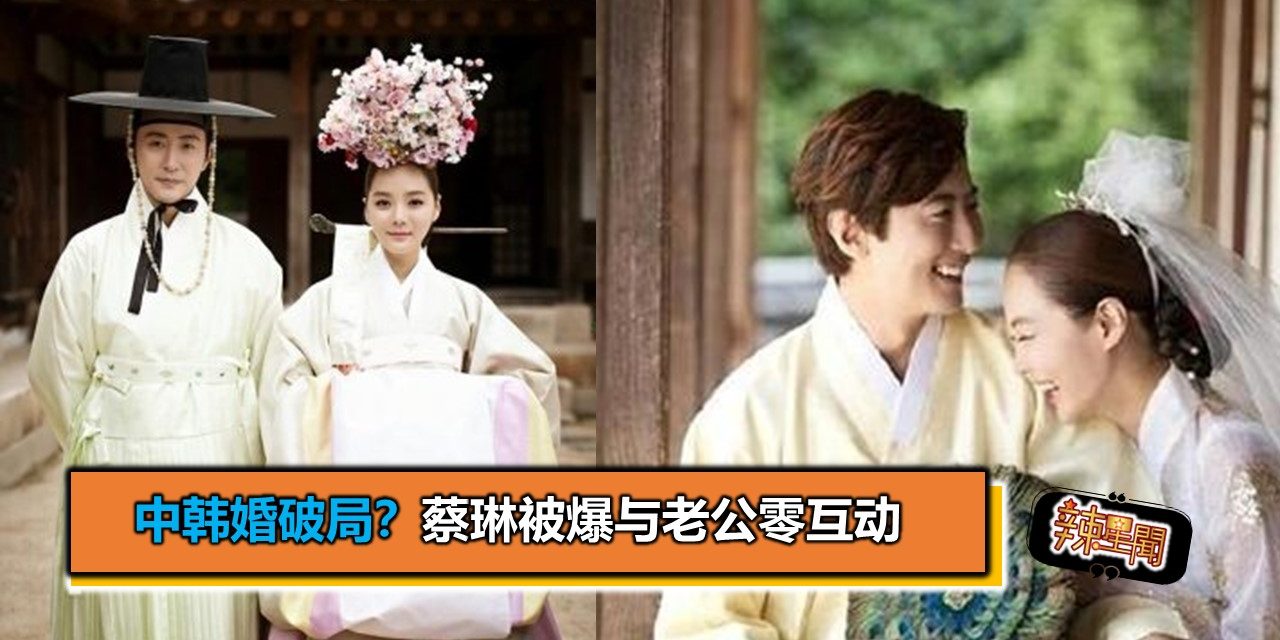 中韩婚破局？ 蔡琳被爆与老公零互动