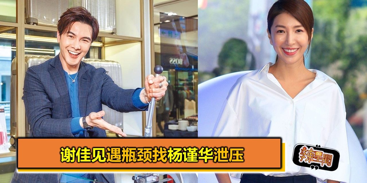 谢佳见遇瓶颈找杨谨华泄压