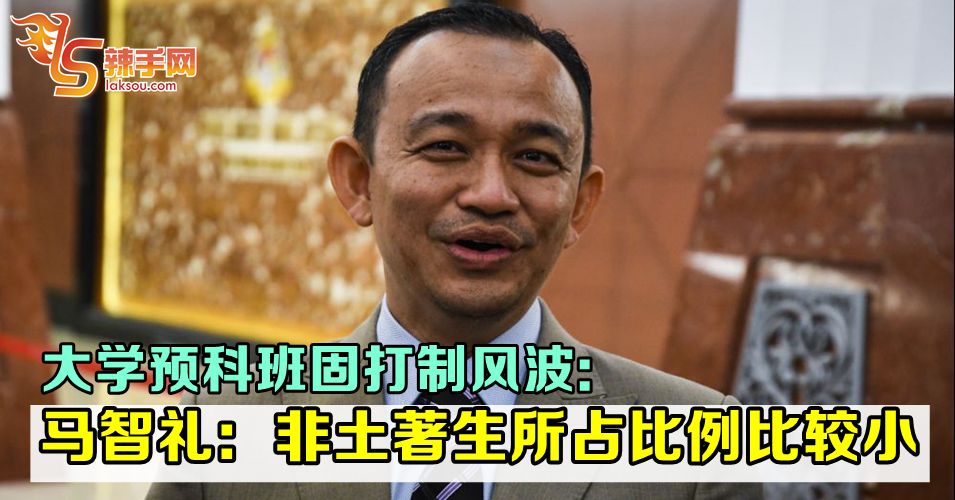 马智礼: 是内阁集体决定