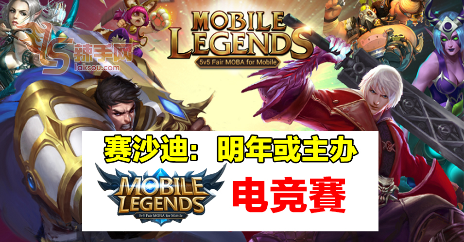 赛沙迪：考虑争取2020年主办权