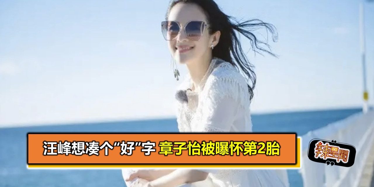 汪峰想凑个“好”字　章子怡被曝怀第2胎