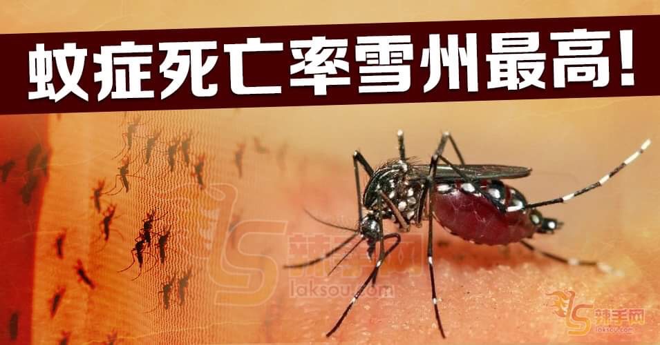 雪州骨痛热症冠全国！