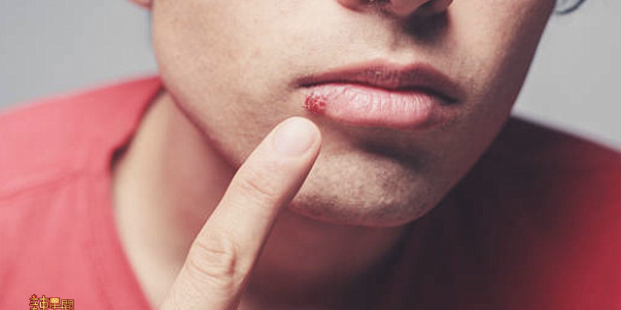 身体常发热气？不同器官降火各有妙方