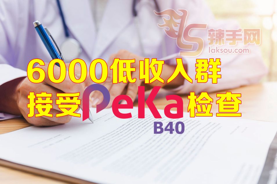 PeKa B40健康计划反应佳