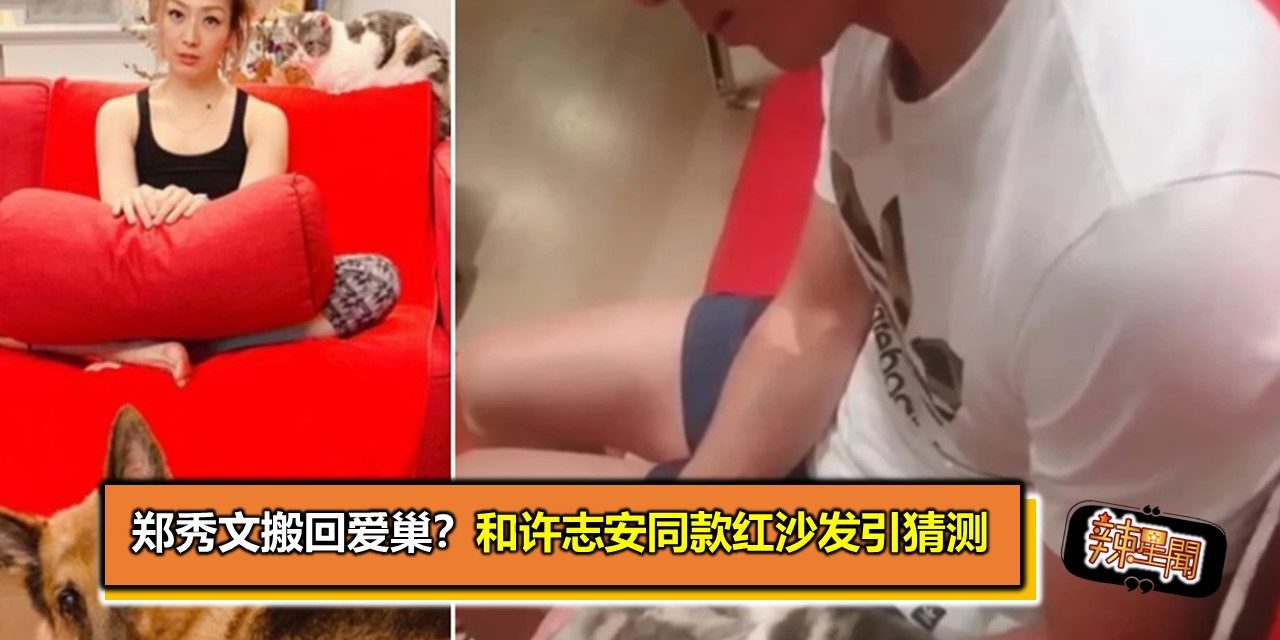 郑秀文搬回爱巢？和许志安同款红沙发引猜测
