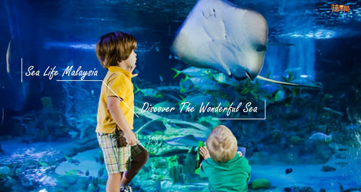 海底奇妙旅程！大马最新海洋探索中心正式开馆！