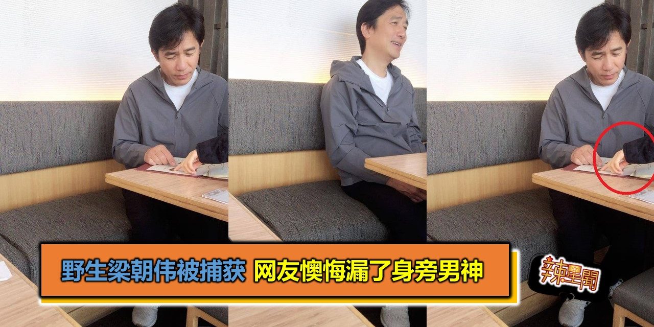 野生梁朝伟被捕获 网友懊悔漏了身旁男神