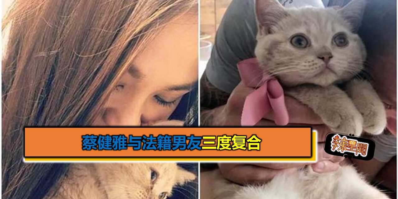 蔡健雅与法籍男友三度复合