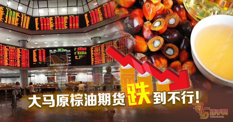 大马原棕油期货表现差