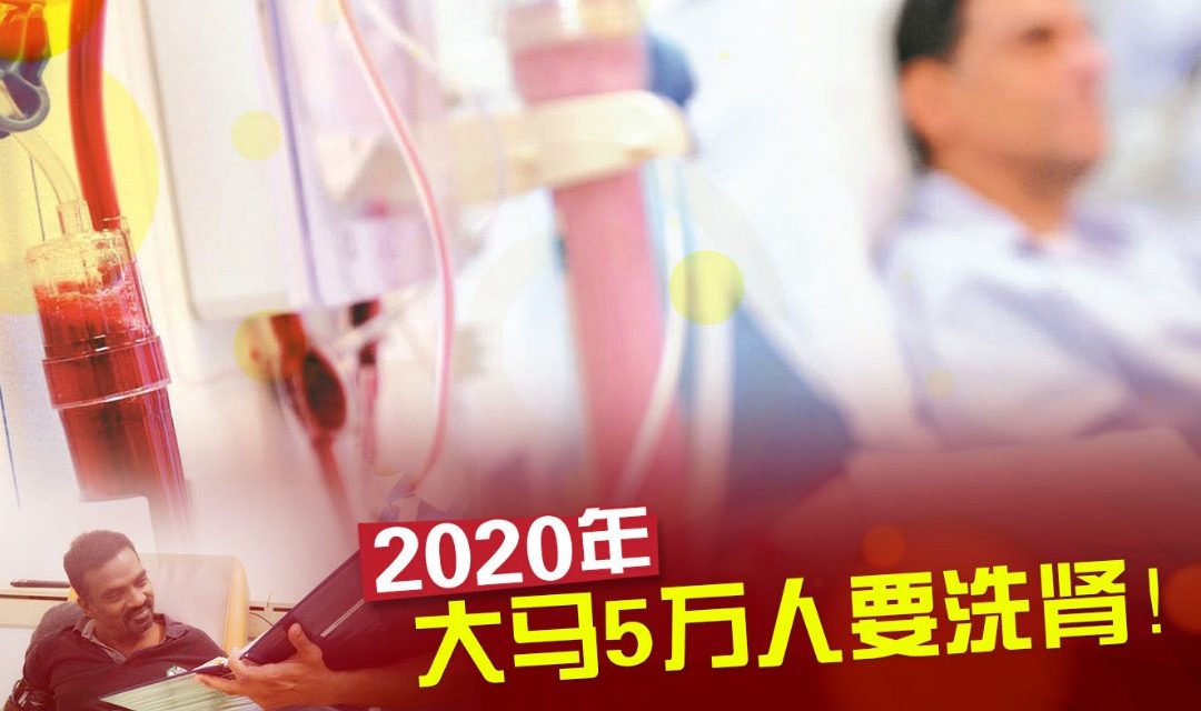2020年洗肾病患将增至5万人！