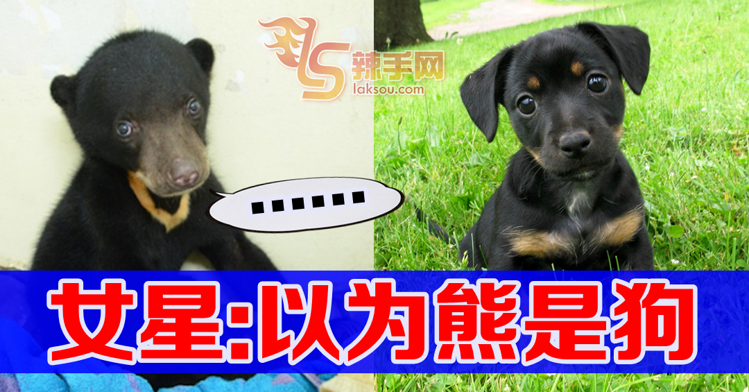 公寓养熊女星：以为那是小狗