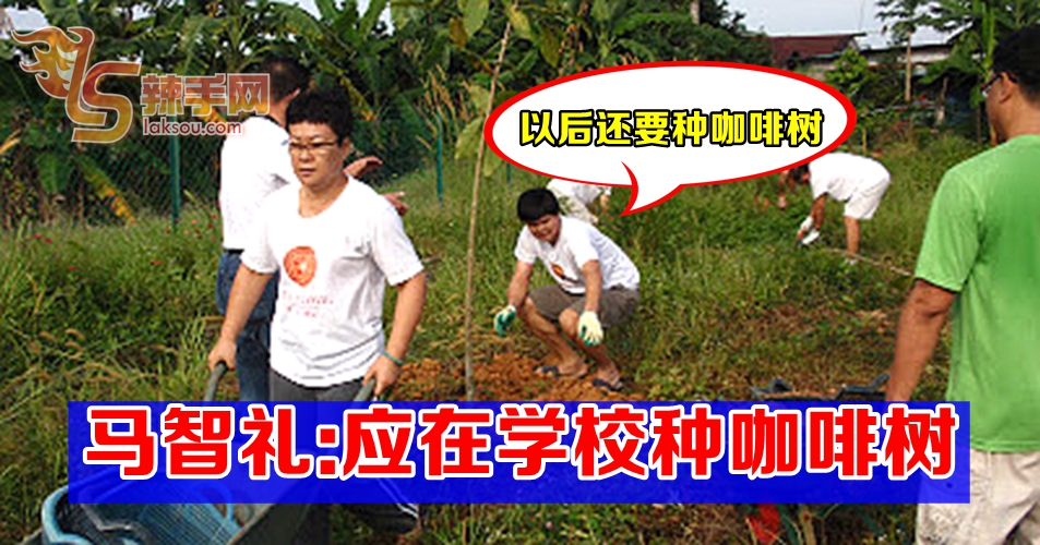 马智礼：应在学校种咖啡树