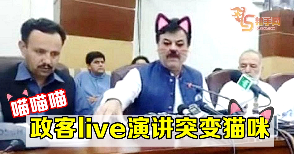 喵喵喵 政客live演讲突变猫咪