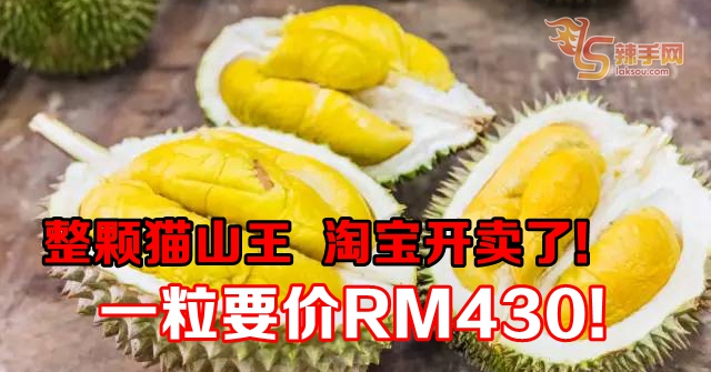 整颗猫山王  淘宝开卖了！ 一粒要价RM430！