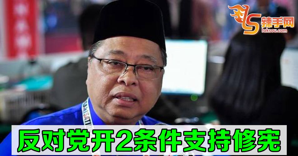 依斯迈沙比里: 要修宪  需同意2条件